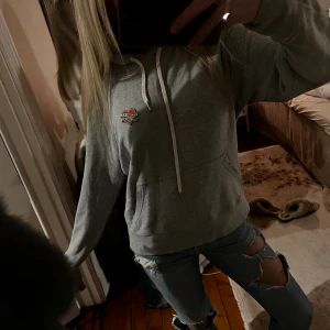 Zadig hoodie - Zadig hoodie i fint skick. Står ingen storlek men passar xs-m.