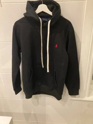Ralph lauren hoodie - Riktigt fin hoodie, pris lappen sitter kvar köpte den utom lands