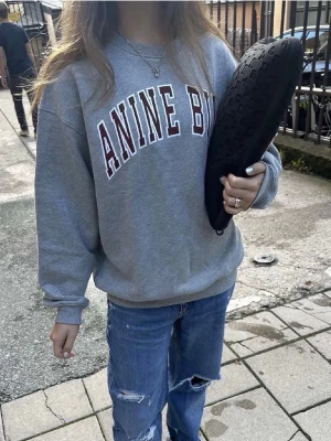 Anine Bing hoodie  - Säljer min jätte snygga college tröja från Anine Bing💞nypris 1700kr. Det är i storlek M men är tvättad så passar som S. Det finns en liten fläck på framsidan men inget man tänker på💞💞