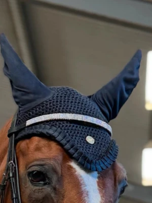 Snyggt Pannband  - Jätte gulligt pannband i storlek cob, fint skick inte diamanter tappade. Inte andvänt alls mycket 