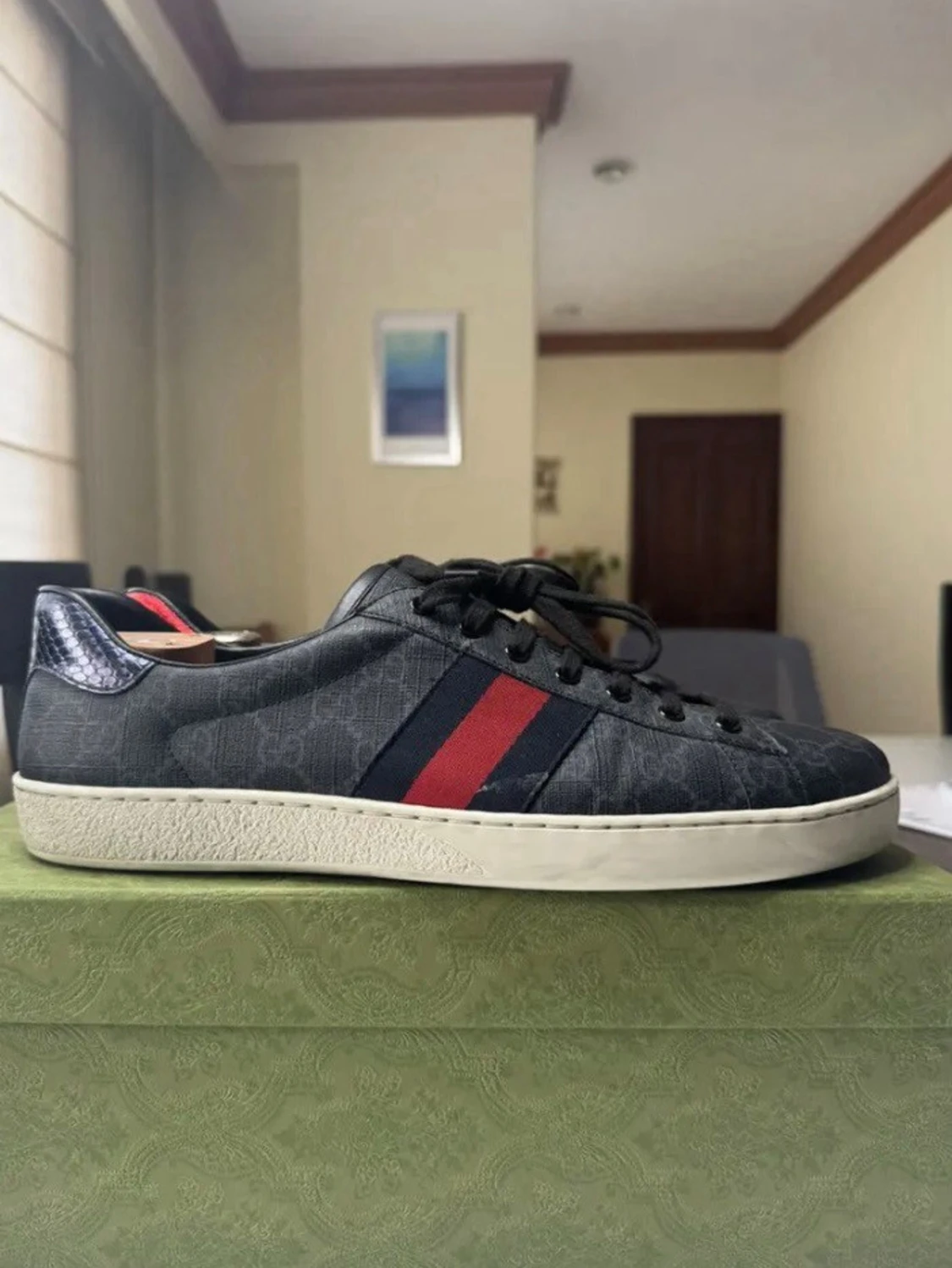 Gucci Ace  - 1