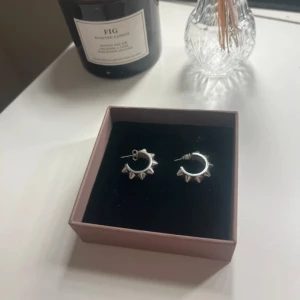 Silvriga örhängen med nitar - Coola silvriga örhängen från Edblad i rund form med små nitar runt om. Perfekta för dig som vill ha en edgy vibe på din look. Passar till både street och rockiga outfits. Tvättas med våtservetter och handsprit innan frakt. 🩷