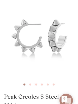 Edblad örhängen - Säljer ett par Edblad örhängen då dom inte kommer till användning. Skriv för fler bilder