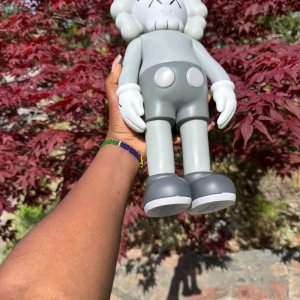 Kaws - Brand new