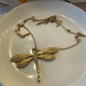 Guldfärgat halsband med trollslända - Unikt halsband med en stor guldfärgad trollslända som hänge. Kedjan är tunn och smidig, och trollsländan har snygga detaljer och mönster på vingarna som ger ett coolt intryck. Perfekt för dig som vill sticka ut med ett smycke som känns både trendigt och personligt.