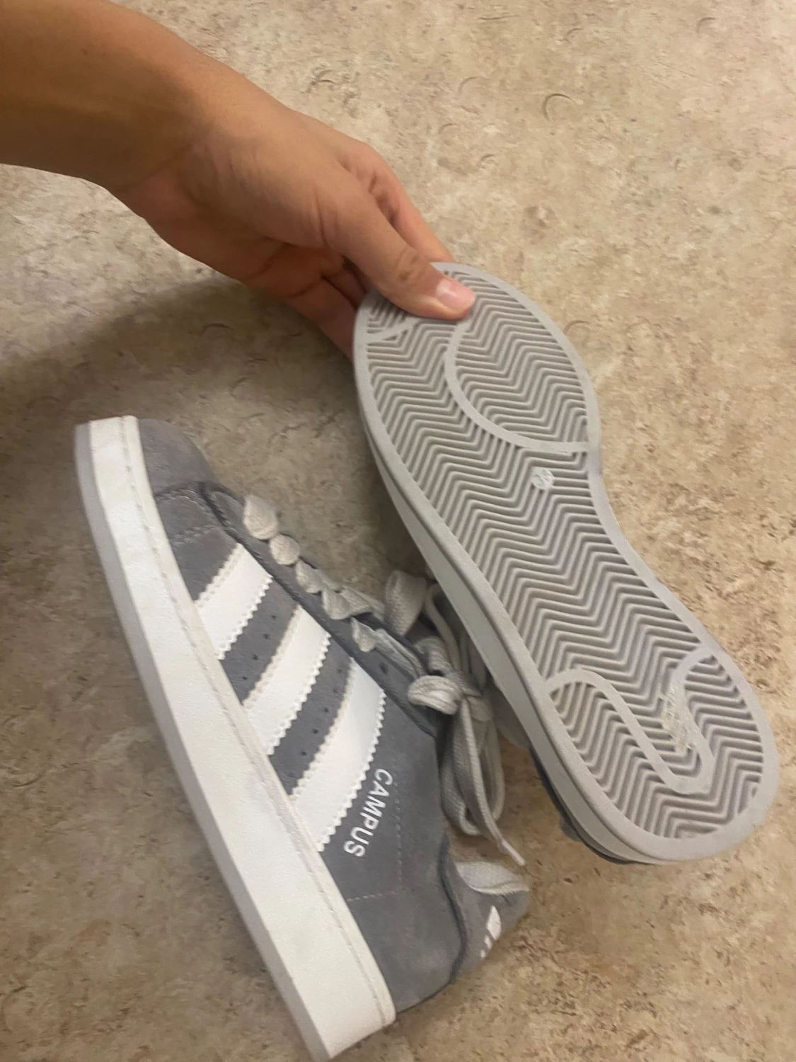 Grå Adidas Campus sneakers - 1