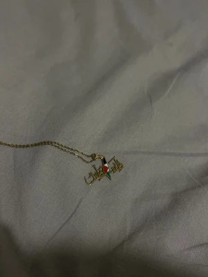 Palestinsk halsband  - Ett halsband med palastiniens halsband.
