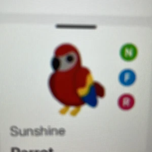 ADOPT ME NEON PARROT - Fly ride neon adopt me parrot. Pm för username och mer. Pris kan diskuteras 