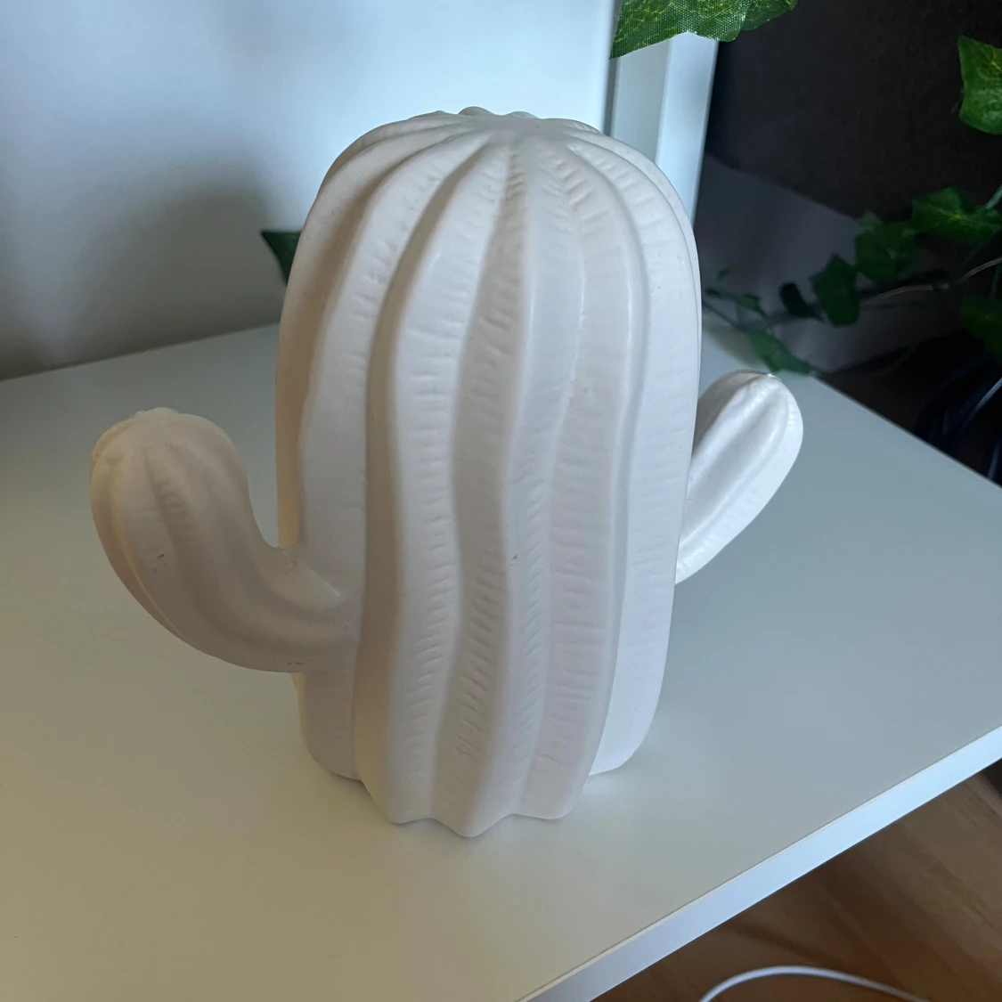 Inredning kaktus - 2