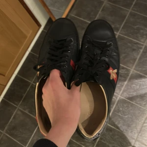 Gucci ace skor  - Hej, säljer nu mina asfeta Gucci ace skor då ja börjat tröttna på de de är storlek 46 och allt original tillkommer,(kvitto mm) skicket är rätt så bra förutom slitningar på höken och där framme, hör av er vid frågor och funderingar mvh Carl