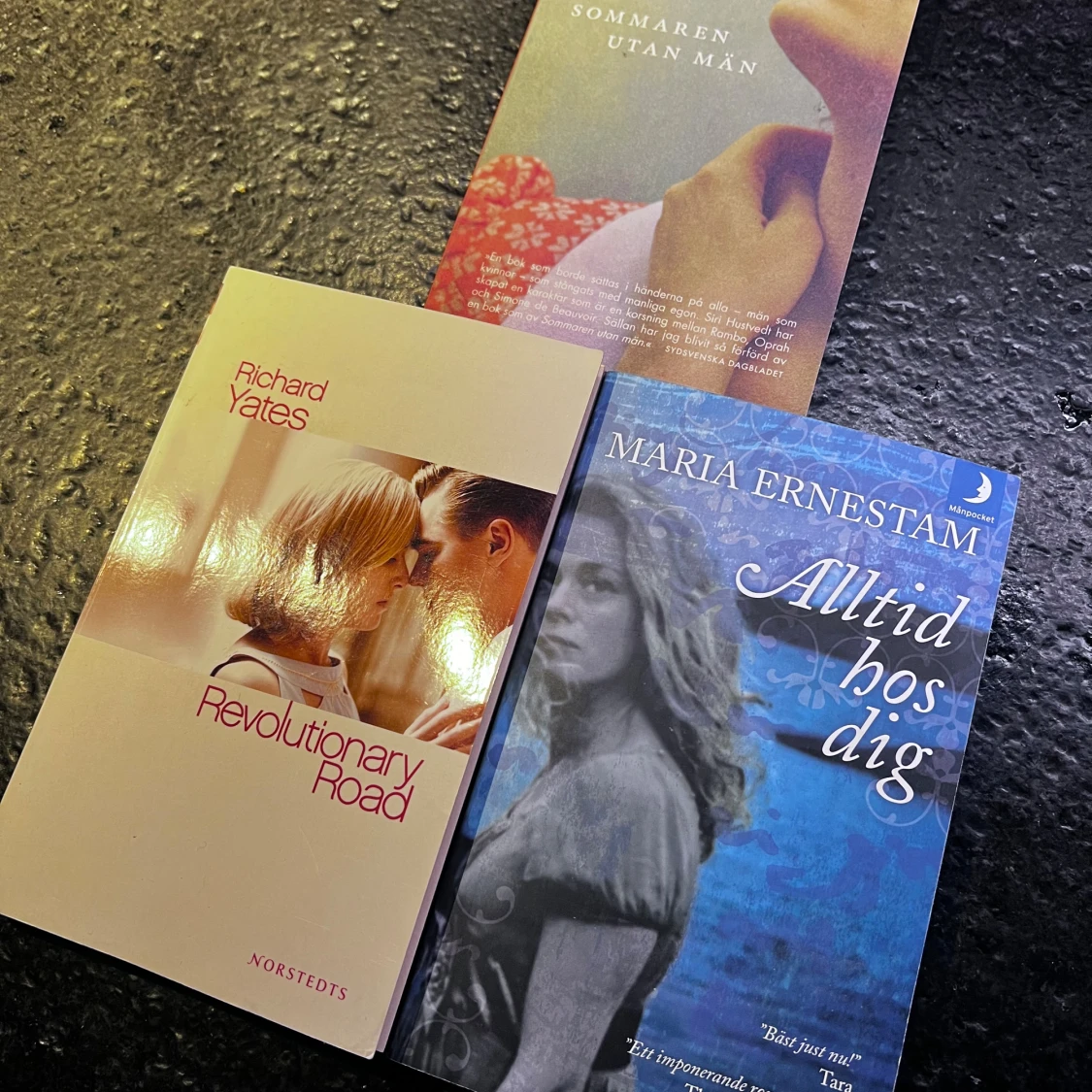 3 böcker – Maria Ernestam, Richard Yates & Siri Hustvedt