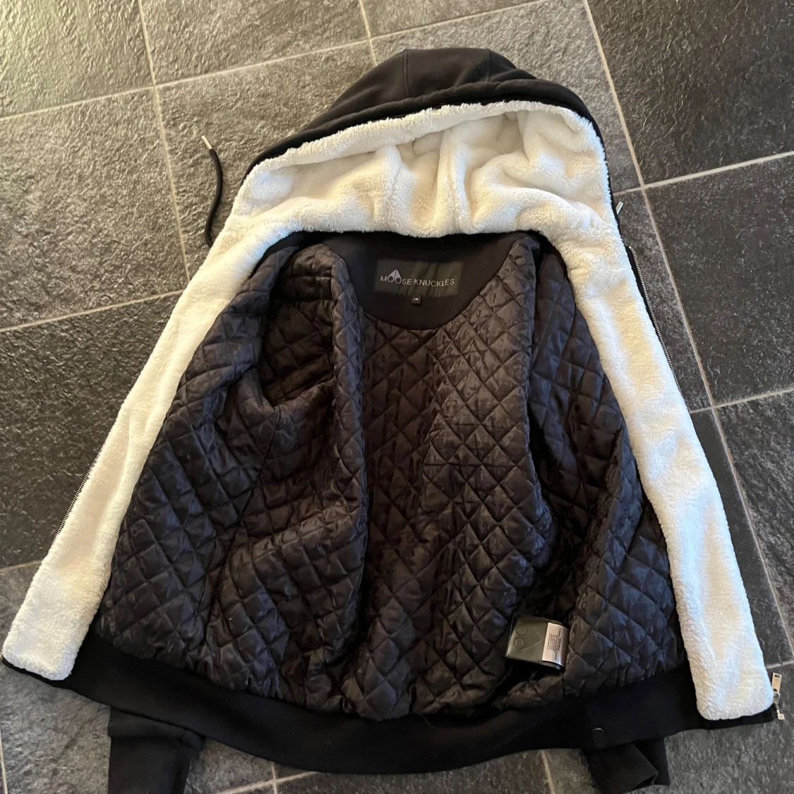 Moose knuckels Bunny - 1