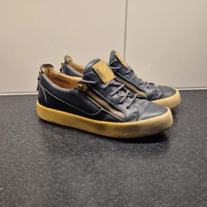 Giuseppe zanotti  - Ett par snygga Giuseppe zanotti skor med guldiga detaljer. De är använda har några små defekter men inga stora som hål eller något sånt. Storlek 39. Skriv vid funderingar. Pris går att diskuteras