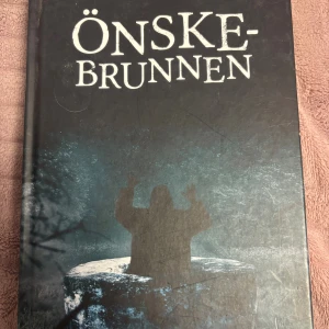Önskebrunnen - En spännande och kuslig berättelse om Ryan, Josh och Chelle som stjäl mynt från en önskebrunn och drabbas av övernaturliga händelser. En demon och en brunnshäxa tvingar dem att utföra mystiska uppdrag. Perfekt för dig som gillar skräck och äventyr!