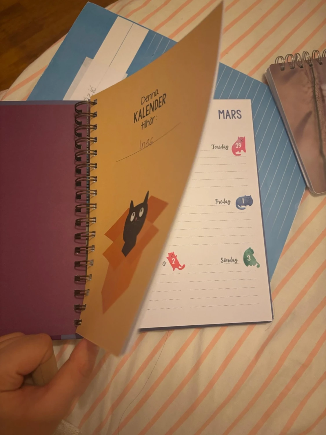 Kattkalender 2024 - 2