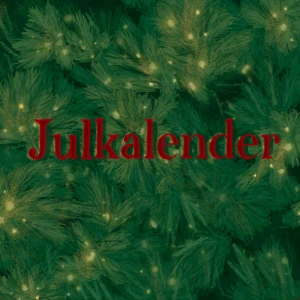 Julkalender  - Julkalender med 12 paket🎁              Julkalender 1: 12 paket och anpassas efter stil/aestetic 350kr                                                         Julkalender 2: 12 paket och är helt slumpmässig 250kr