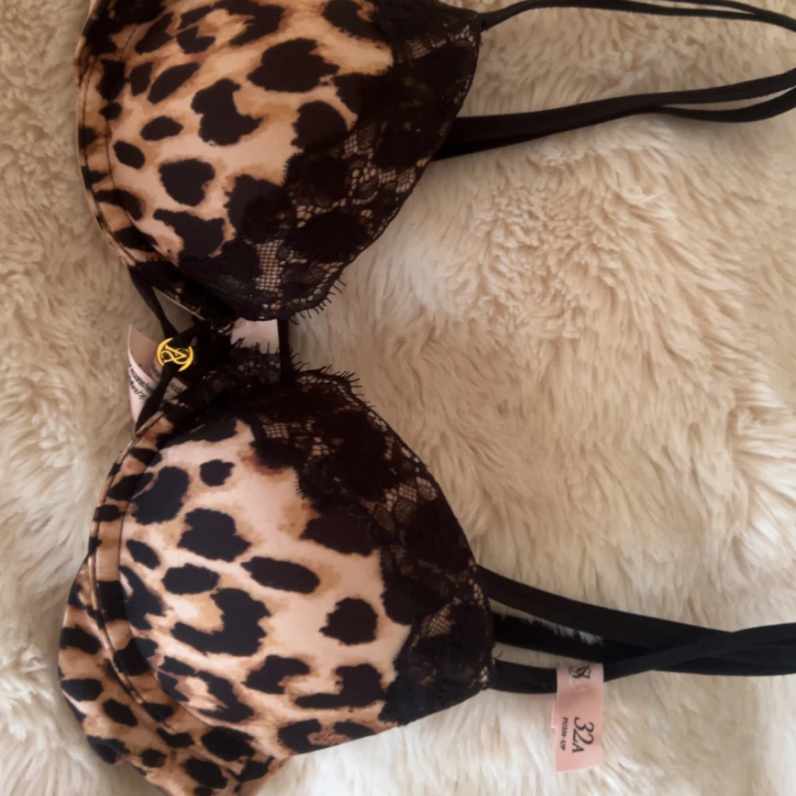 Leopard BH ifrån VS - 1