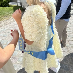 Student klänning - Kikar intresset på min drömmiga studentklänning, slutsåld! 