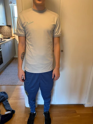 Ljusgrå Nike träningströja - Säljer en ljusgrå träningströja från Nike med korta ärmar och rund hals. Tröjan har en minimalistisk design med Nike-logga i ljusblått på bröstet. Perfekt för träning eller sportaktiviteter.