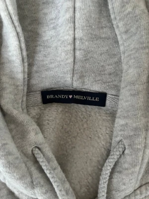 Hoodie från Brandy Melville  - Asskön hoodie med unga defekter. Storlek xs-S (möjligtvis M). Jättesnygg och passar till allt💕