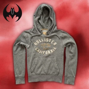 Grå hollister hoodie - Grå hoodie från Hollister med vit tecknar i bröstet | Mycket bra skick | Size S/M | Längd: 63cm Arm: 68cm Axelbredd: 48cm | Modell 162cm, 60kg | Passar mellan för 164-178 cm