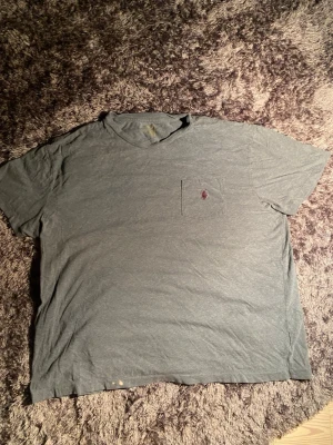 Grå t-shirt från Polo Ralph Lauren - Säljer en chill grå t-shirt från Polo Ralph Lauren i klassisk passform. T-shirten har korta ärmar, rund hals och en liten bröstficka med broderad logga i rött. Materialet är mjuk bomull och färgen är mörkgrå. Perfekt för en avslappnad stil. Den har en liten missfärgning längst ner men ingen man tänker på så mycket 