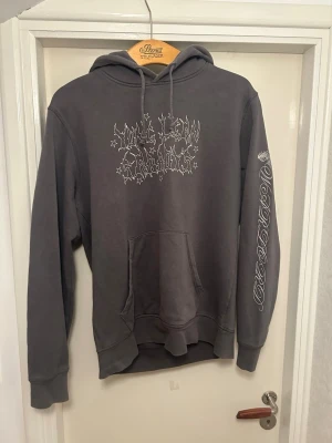 Yung Lean sadboys warlord hoodie  - Grå Yung Lean hoodie i storlek M, knappt använd och har inget slitage 