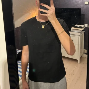 Svart basic t-shirt från Zara - En stilren svart t-shirt från Zara med klassisk rund hals och korta ärmar