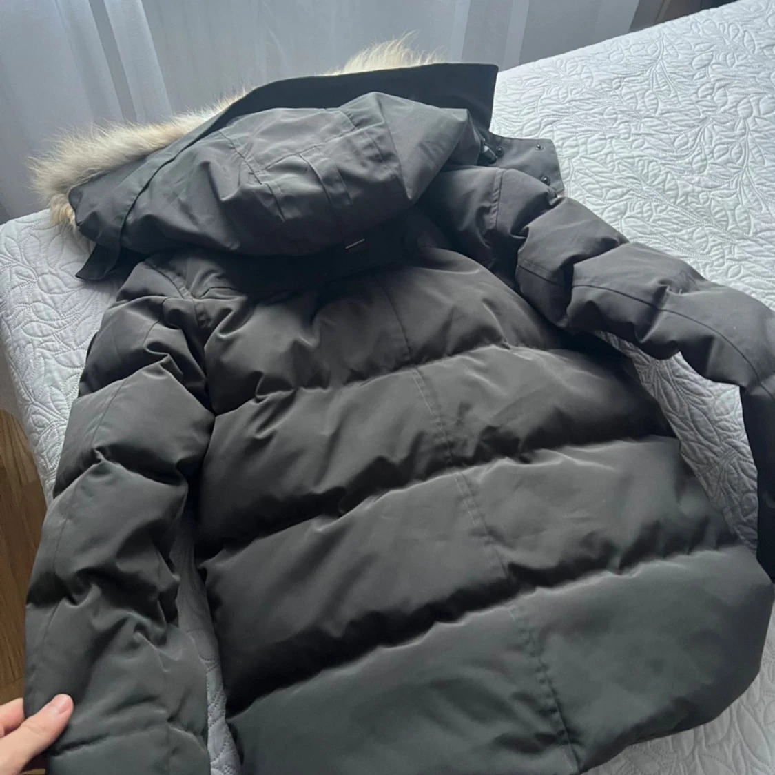 Grå Canada Goose jacka - 3