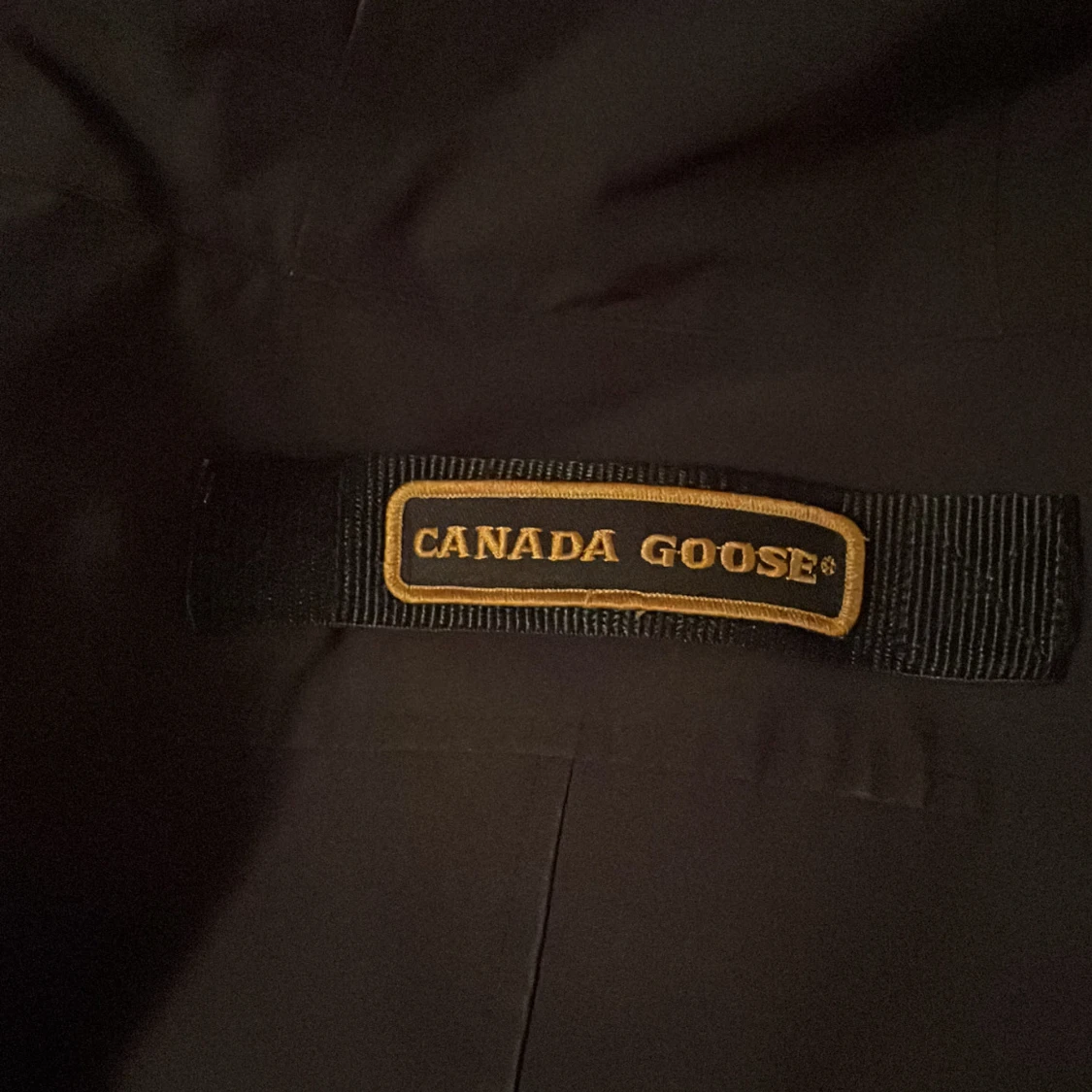 Canada Goose Chateau parka - 4