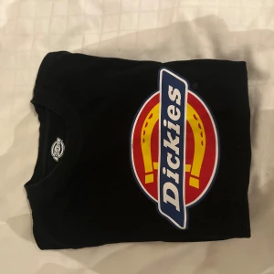Svart Dickies t-shirt med stor logga - Svart t-shirt från Dickies med stor, färgglad logga. Pris kan diskuteras.