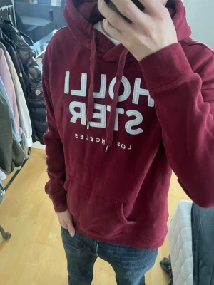 Vintage 2000s hollister hoodie (Sällsynt) - Säljer nu denna sjukt snygga vintage 2000s Hollister hoodie i en riktigt snygg färg med perfekt passform 😊 Säljs ej längre i butik och är därav mycket eftertraktad! Storlek L på etiketten men passar M🙌 Både mjuk och bekväm så passar perfekt till vintern och våren🤩 Skriv vid funderingar 📲