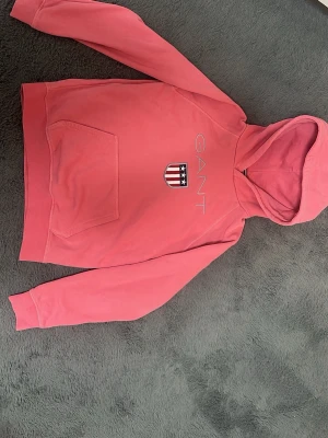 Fin gant hoodie - Fin rosa gant hoodie som är i kidssize (158-164cm) har inte använt den på ett tag nu så tänkte sälja den!