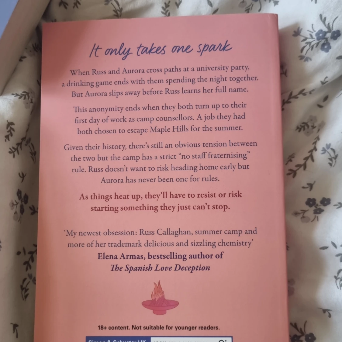 Engelska böcker: Icebreaker, Daydream, Wildfire - 3