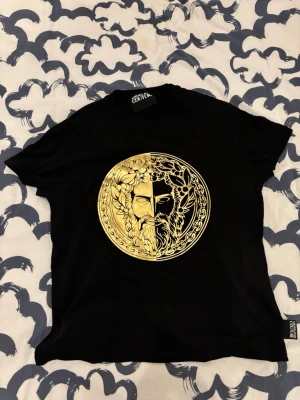 T shirt - Säljer en t shirt som jag fått som present men inte längre kommer använda. Använt 3-4 gånger och är i princip som ny. pris kan diskuteras vid snabb affär 