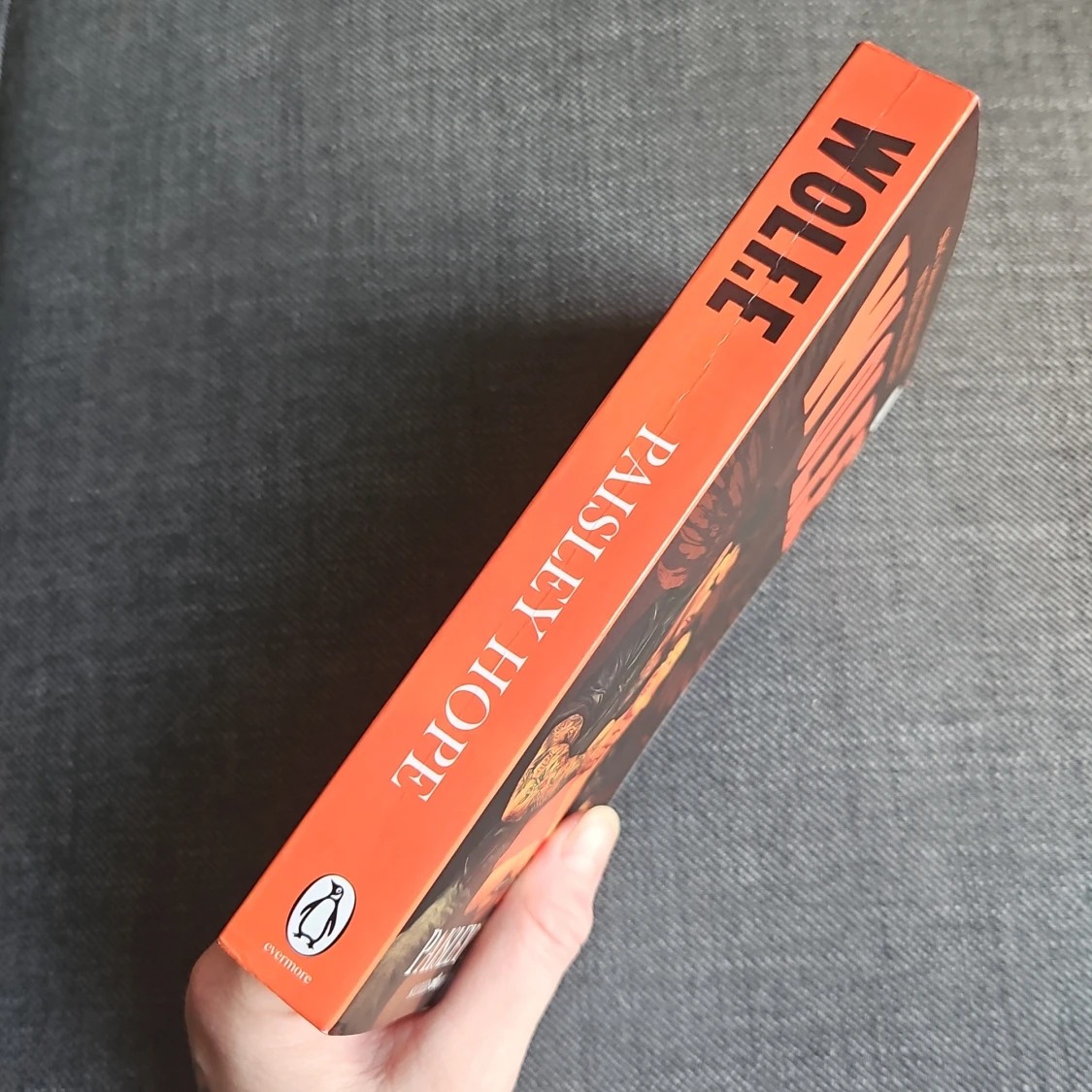 WOLFE Paisley Hope - 1