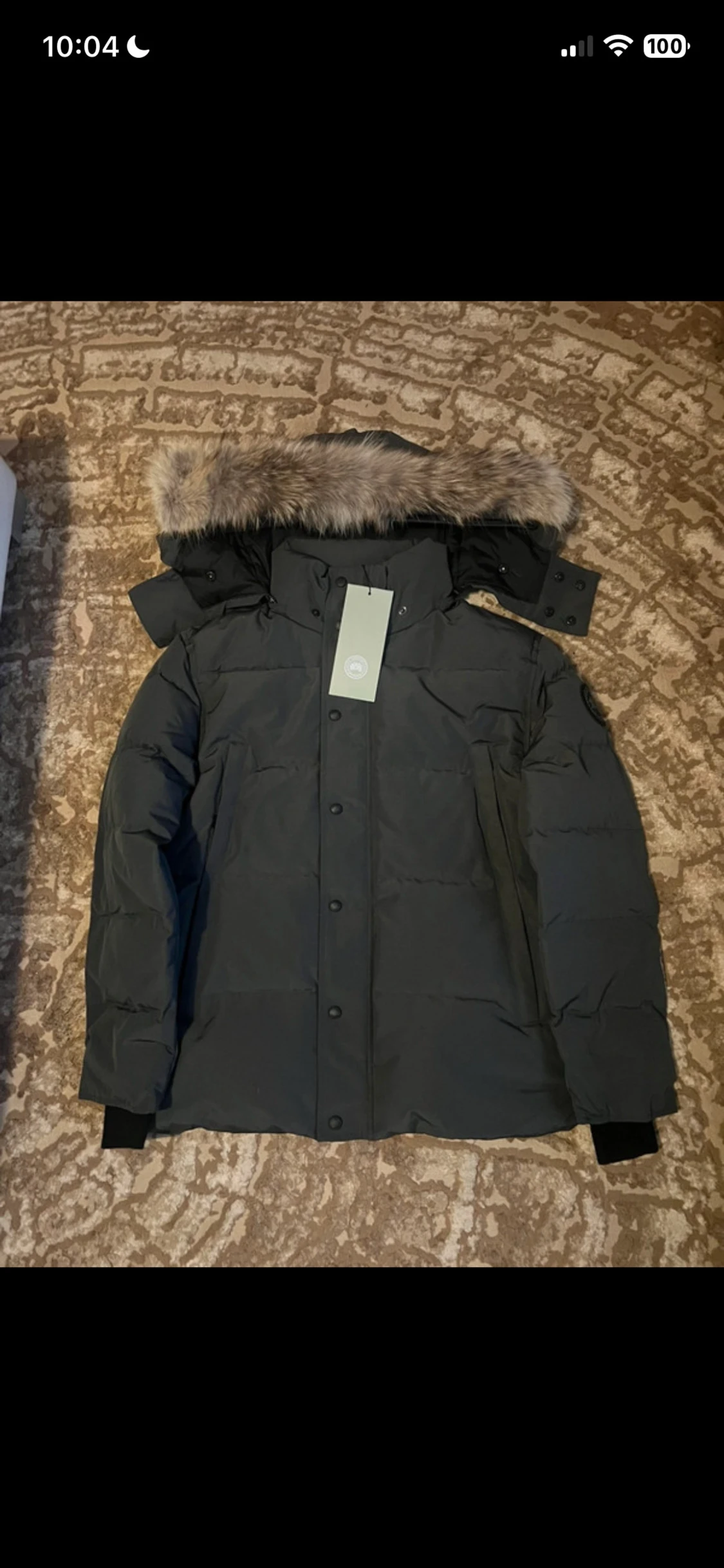 Canada goose Wyndham