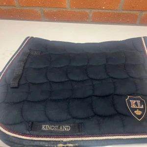 Schabrak  - Från Kingsland i storlek ponny/cob 