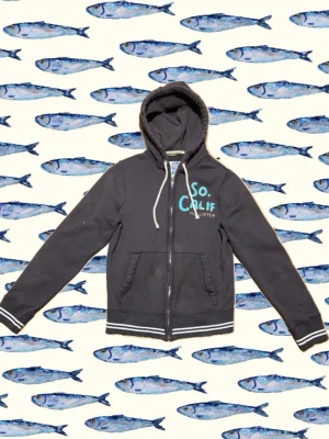 Hollister Hoodie  - En unik retro hollister tröja! Med en blå text och en tyg sydd pelikan. Tröjan är brun med vita mindre detaljer.