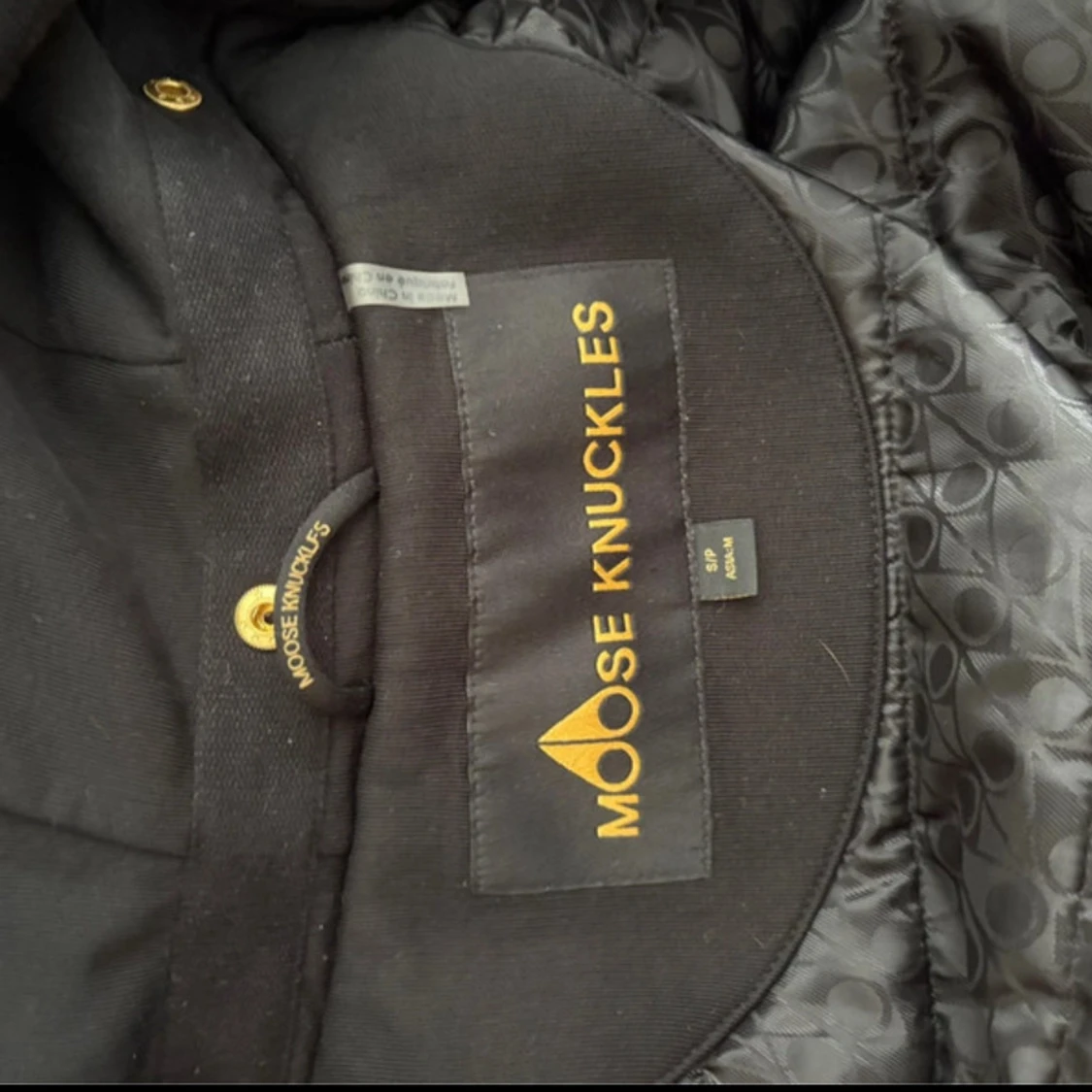 Moose knuckles bunny - 2