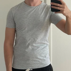 Grå t-shirt - Grå t-shirt. Storlek S. 