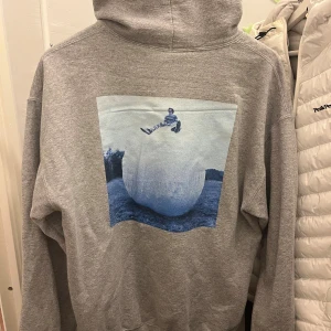 Grå Harry Styles hoodie Harry's House - Harry Styles hoodie från Harry’s House! Hoodie är köpt från Love On Tour turnén då den kostade 900kr. Den har inga skavanker och är väldigt fin. Endast använd ett fåtal gånger de senaste åren. 