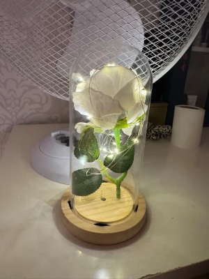 Dekorativ glaskupa med vit ros och LED - Snygg inredningsdetalj med en konstgjord vit ros inuti en glaskupa på träbas. Runt rosen slingrar sig små LED-lampor som ger ett mysigt sken. Perfekt som dekoration på skrivbord eller hylla. Kupans form är rundad och modern.
