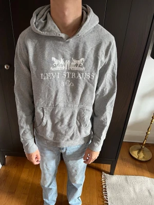 Grå hoodie från Levi's  S - Grå hoodie i storlek S men är lite större i storleken 
