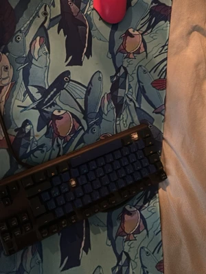 SteelSeries Apex Pro TKL tangentbord - SteelSeries Apex Pro TKL är ett kompakt, svart mekaniskt tangentbord med RGB-belysning. Tangentbordet har en robust design och passar perfekt för gaming eller arbete vid datorn. TKL-formatet gör det smidigt att ta med och ger mer plats på skrivbordet. Mus attack shark v6 400kr benjofishy musmatta 500kr skriv dm för offer 