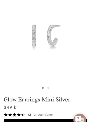 Örhängen från Edblad - Örhängen från Edblad i silver med gnistrande stenar längs hela framsidan. Örhängena har en klassisk halvcirkelform.
