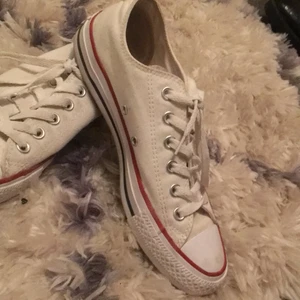 Vita CONVERSE.Storlek 38 - Basic vita converse, Storleken är 38 men funkar som 39, Ny priset på skorna är 659kr