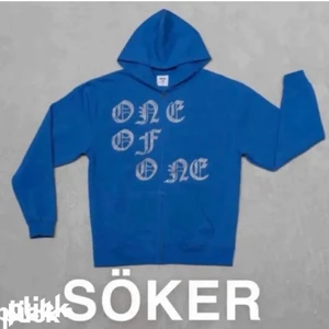 One of one hoddie - SÖKER DENNA ELLER Andra färger skriv om ni har!! I medium