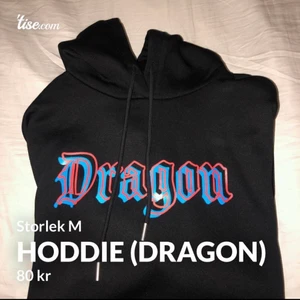 Dragon hoodie  - En jätteskön hoodie från shein, kommer ej till användning men inget fel på den. Den är lite oversized och har världens mysigaste material. 80kr+frakt