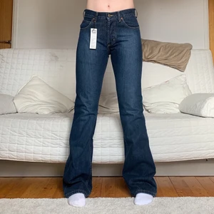 Nya Lee Jeans - Säljer dessa flared jeans från Lee som är helt nya, med lappar kvar! Storleken är W30L34 (inte stretchiga, passar mig precis)! Jag på bilderna är 172cm lång och brukar bära storlek 38/W28/S-M💕